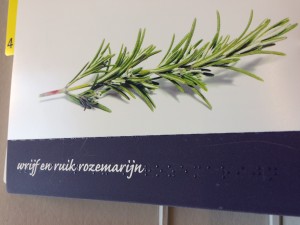 "Wrijf en ruik de rozemarijn": Rub and smell the rosemary!